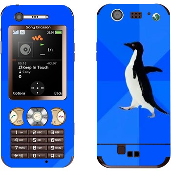   «  »   Sony Ericsson W890