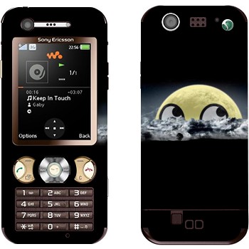   «  »   Sony Ericsson W890