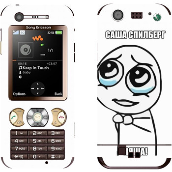   «  »   Sony Ericsson W890