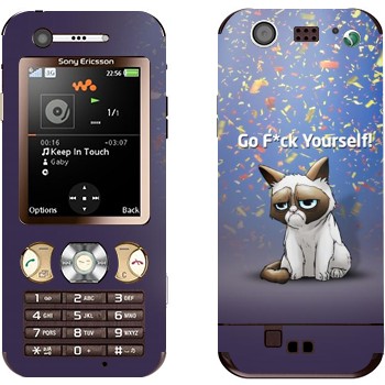 Sony Ericsson W890