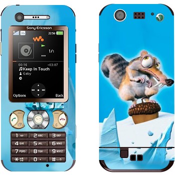 Sony Ericsson W890