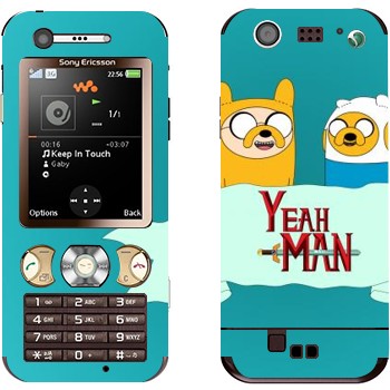 Sony Ericsson W890