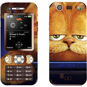 Sony Ericsson W890