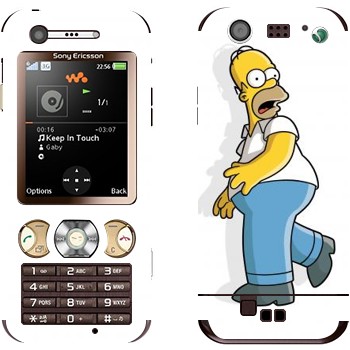 Sony Ericsson W890