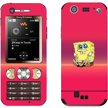 Sony Ericsson W890