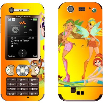 Sony Ericsson W890