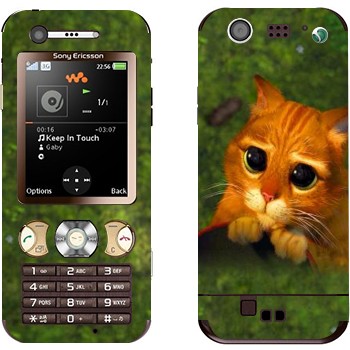 Sony Ericsson W890