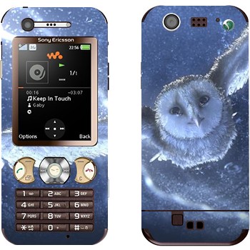   «  »   Sony Ericsson W890