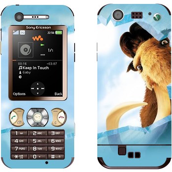 Sony Ericsson W890