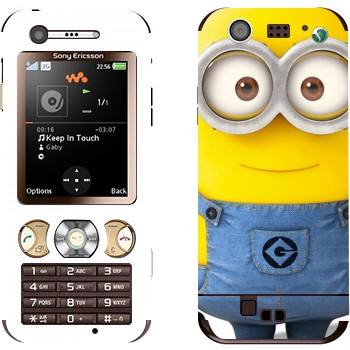 Sony Ericsson W890