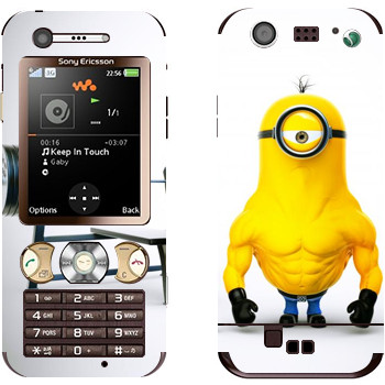   « »   Sony Ericsson W890