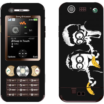 Sony Ericsson W890