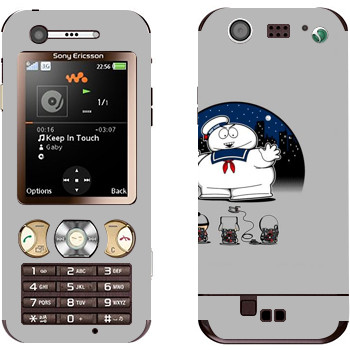 Sony Ericsson W890