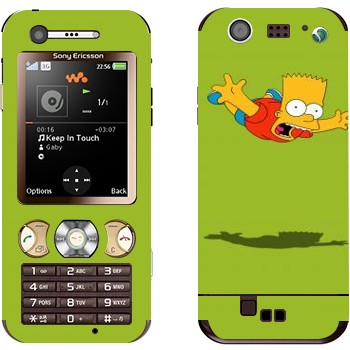 Sony Ericsson W890