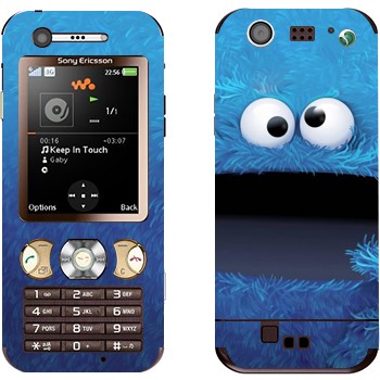 Sony Ericsson W890