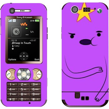 Sony Ericsson W890