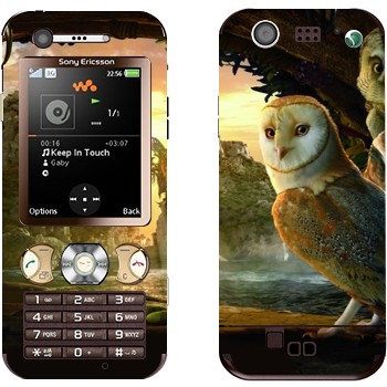 Sony Ericsson W890