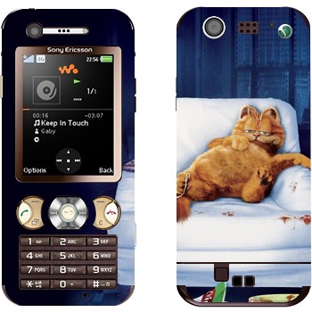 Sony Ericsson W890