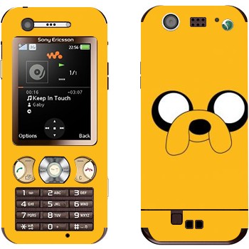 Sony Ericsson W890