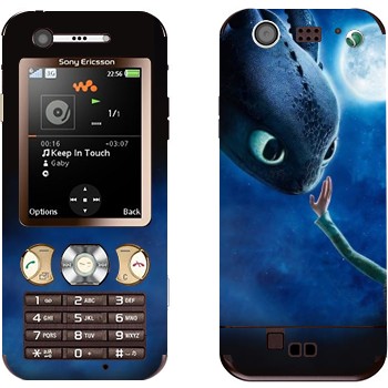 Sony Ericsson W890