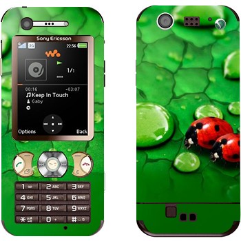 Sony Ericsson W890