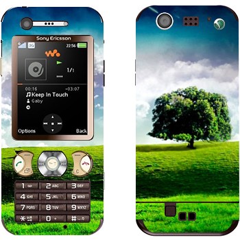   «   »   Sony Ericsson W890