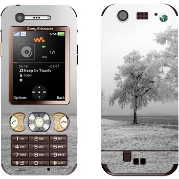   « »   Sony Ericsson W890