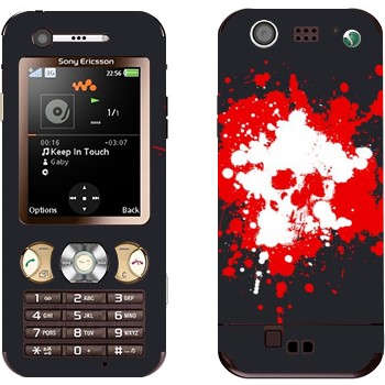 Sony Ericsson W890