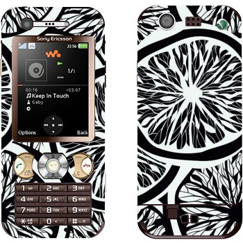   «- »   Sony Ericsson W890