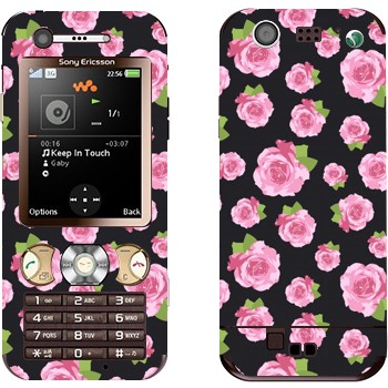   «  »   Sony Ericsson W890