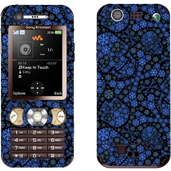 Sony Ericsson W890