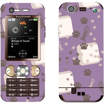 Sony Ericsson W890