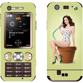 Sony Ericsson W890