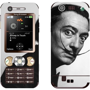 Sony Ericsson W890