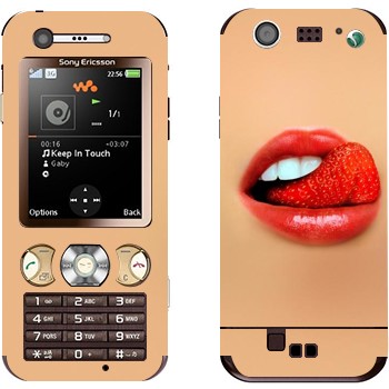 Sony Ericsson W890