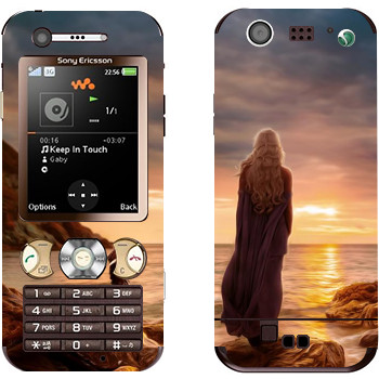 Sony Ericsson W890