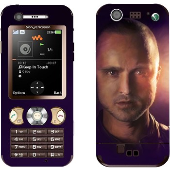 Sony Ericsson W890