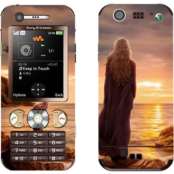   « »   Sony Ericsson W890