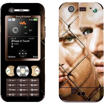   «     -   »   Sony Ericsson W890