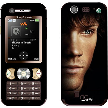   « »   Sony Ericsson W890