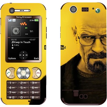 Sony Ericsson W890