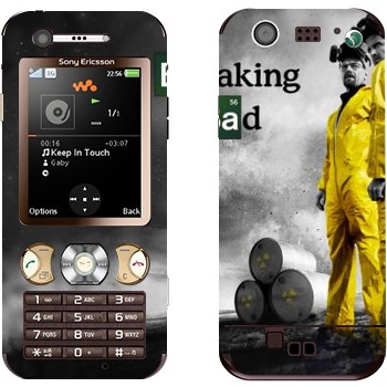 Sony Ericsson W890