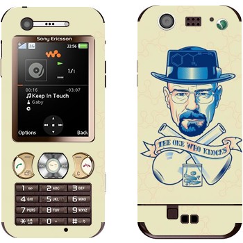 Sony Ericsson W890