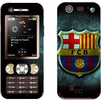 Sony Ericsson W890