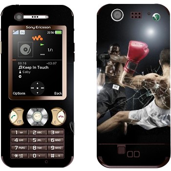 Sony Ericsson W890