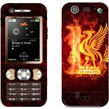 Sony Ericsson W890