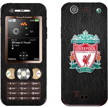 Sony Ericsson W890