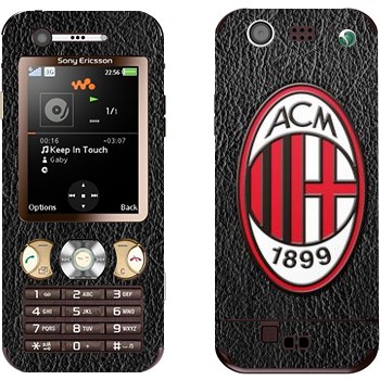 Sony Ericsson W890