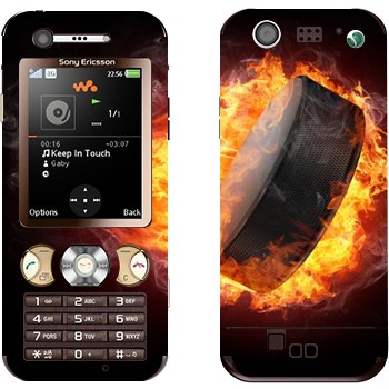   «  »   Sony Ericsson W890