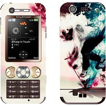 Sony Ericsson W890